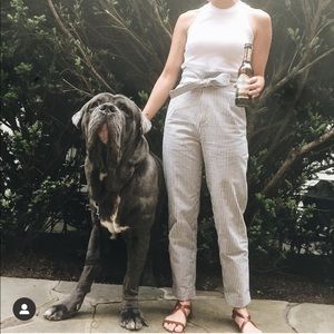 reformation paper bag waist pants